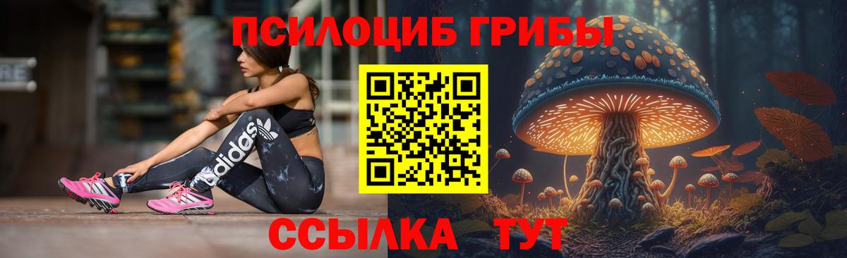 Галлюциногенные грибы мицелий  Вход с VPN  Усолье-Сибирское  Псилоцибиновые грибы Psilocybe 